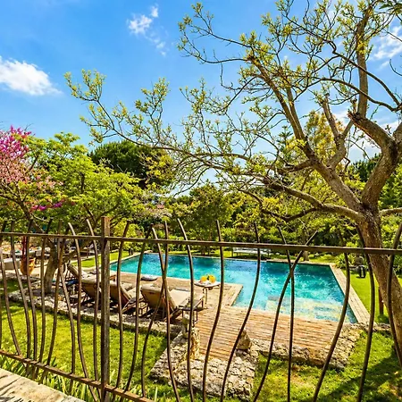 Luxury Villa, Garden, And Infinity Pool Вілла Антіб